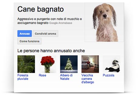Google Olezzo cane bagnato