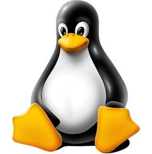 Pinguino Linux
