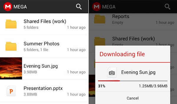 Mega app mobile