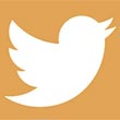 Twitter può trasformarsi in un feed reader per seguire tutte le notizie