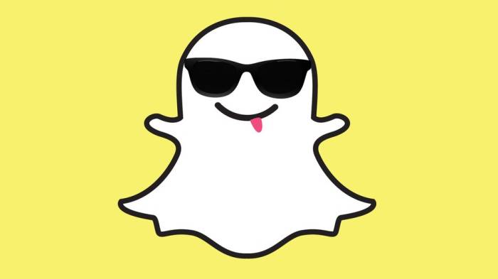 Privacy e Sicurezza: Violazione account Snapchat